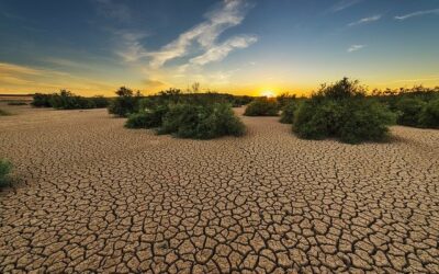 California vive una sequía histórica en 1200 años