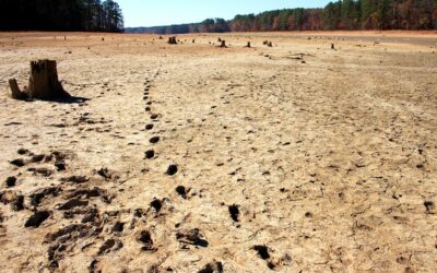 El cambio climático: factor de migración y desplazamiento forzado