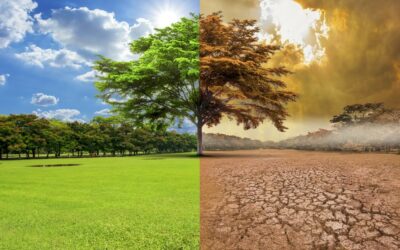 Como el cambio climático afecta nuestras vidas