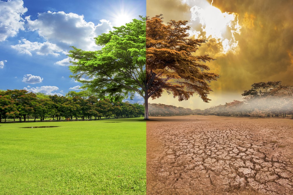 Como el cambio climático afecta nuestras vidas