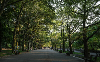 Algo más que parques, lugares de convivencia